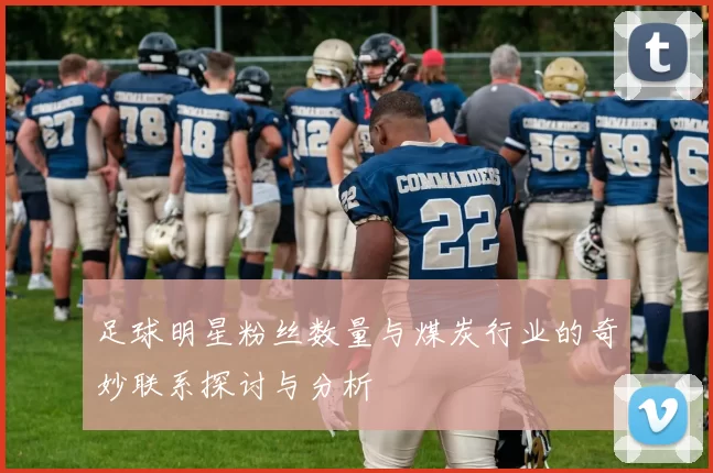 足球明星粉丝数量与煤炭行业的奇妙联系探讨与分析